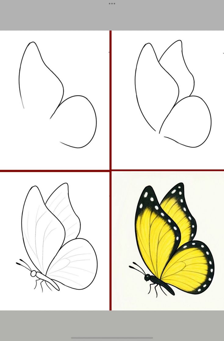Desenho para Desenhar Passo a Passo: Borboleta amarela detalhada