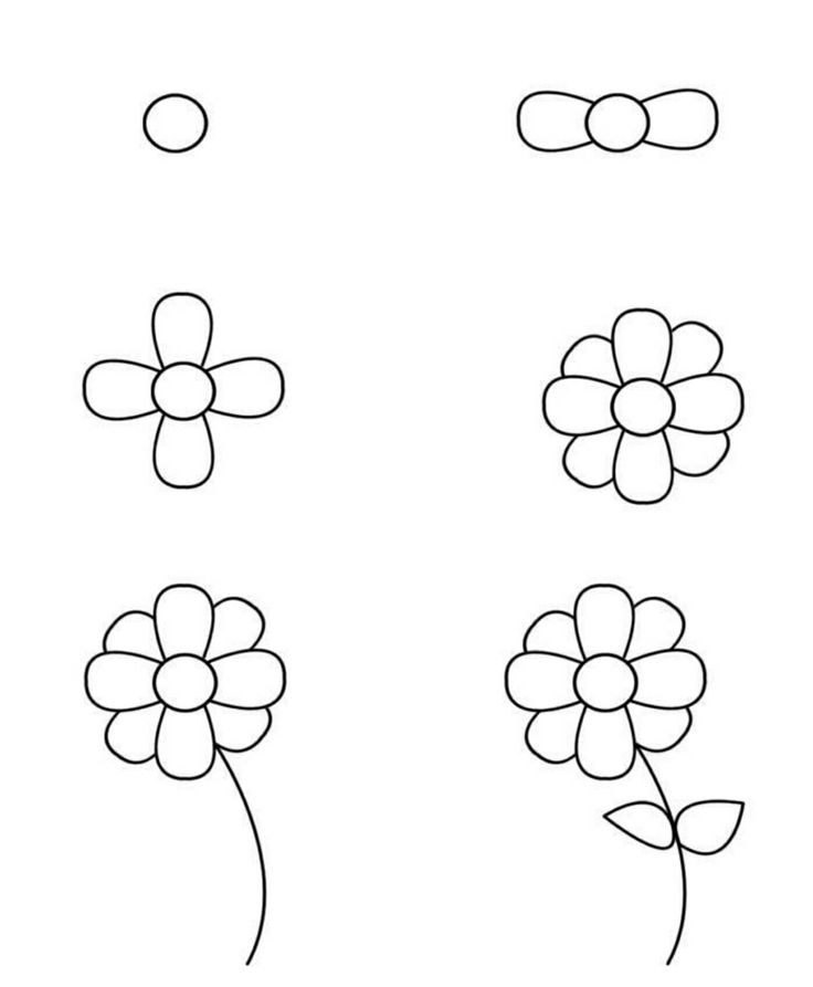 Desenho para Desenhar Passo a Passo: Flores em diferentes etapas