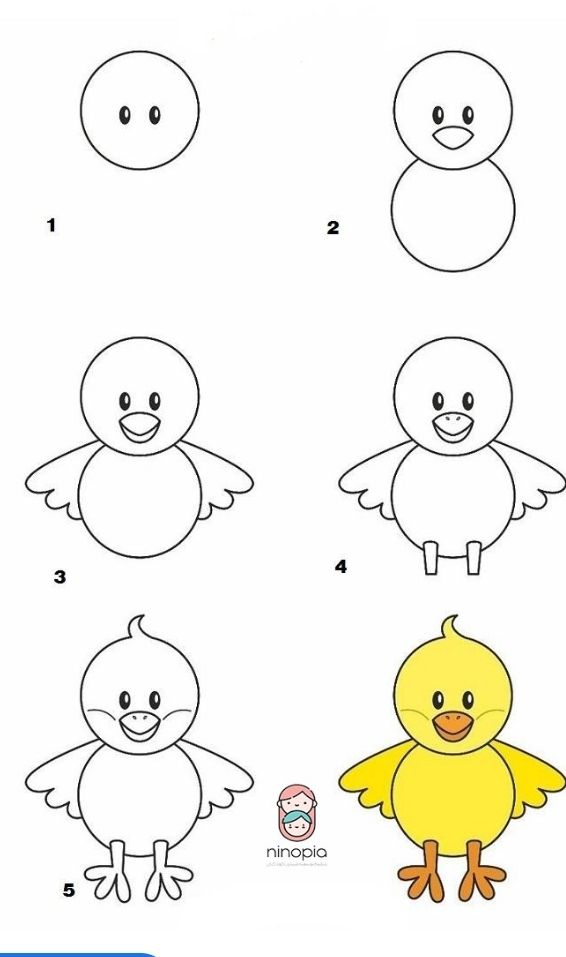 Desenho Passo a Passo para Desenhar Pássaro Fofo