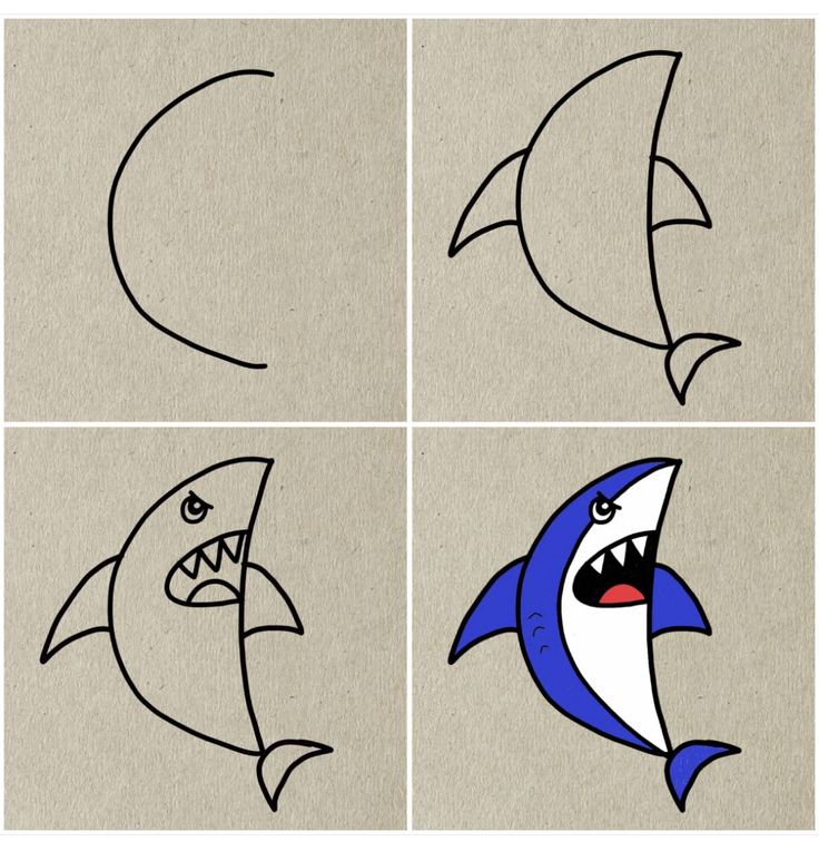 Desenho Passo a Passo para Desenhar um Tubarão