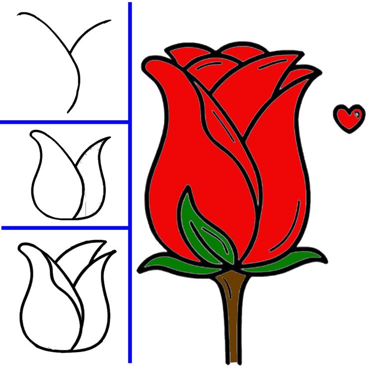 Desenho para Desenhar Passo a Passo: Rosa vermelha detalhada