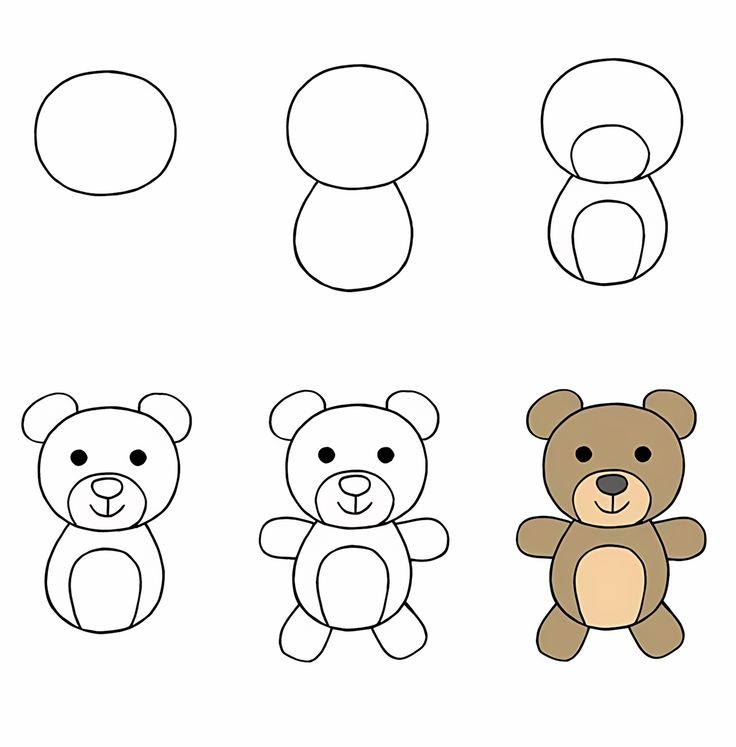 Desenho Passo a Passo para Desenhar um Urso Fofo