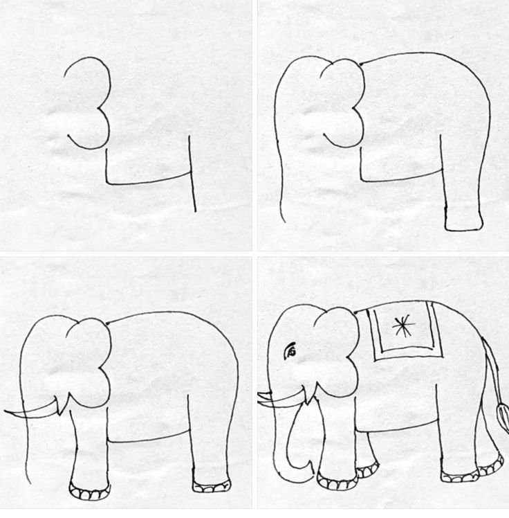 Desenho Passo a Passo de um Elefante com Detalhes
