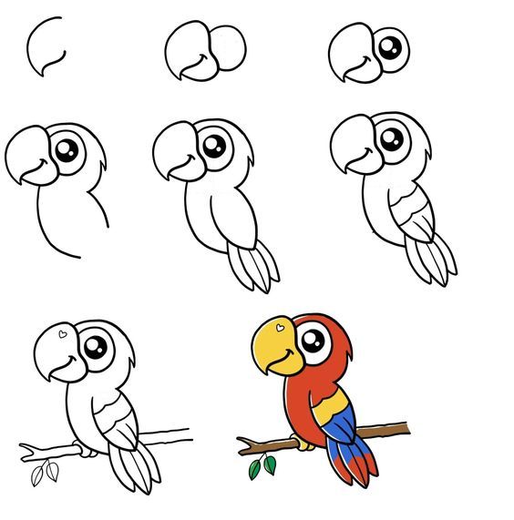Desenho para Desenhar Passo a Passo: Papagaio colorido passo a passo