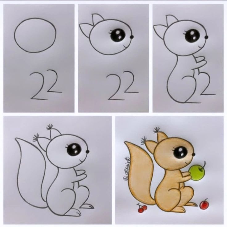 Desenho para Desenhar Passo a Passo: Esquema de esquilo fofo