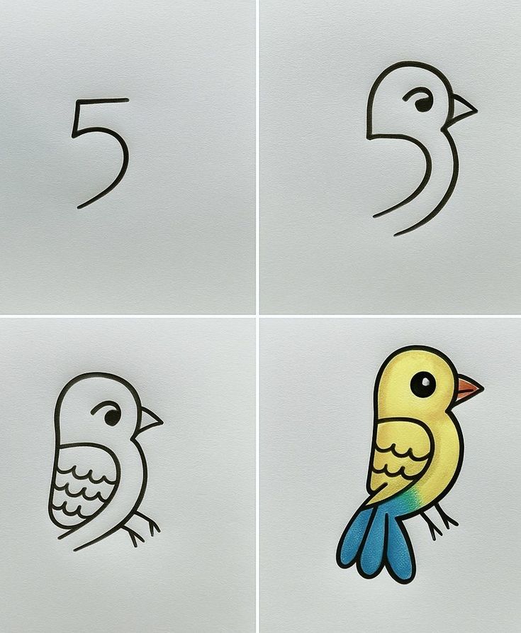 Desenho para Desenhar Passo a Passo: Passo a passo de um passarinho