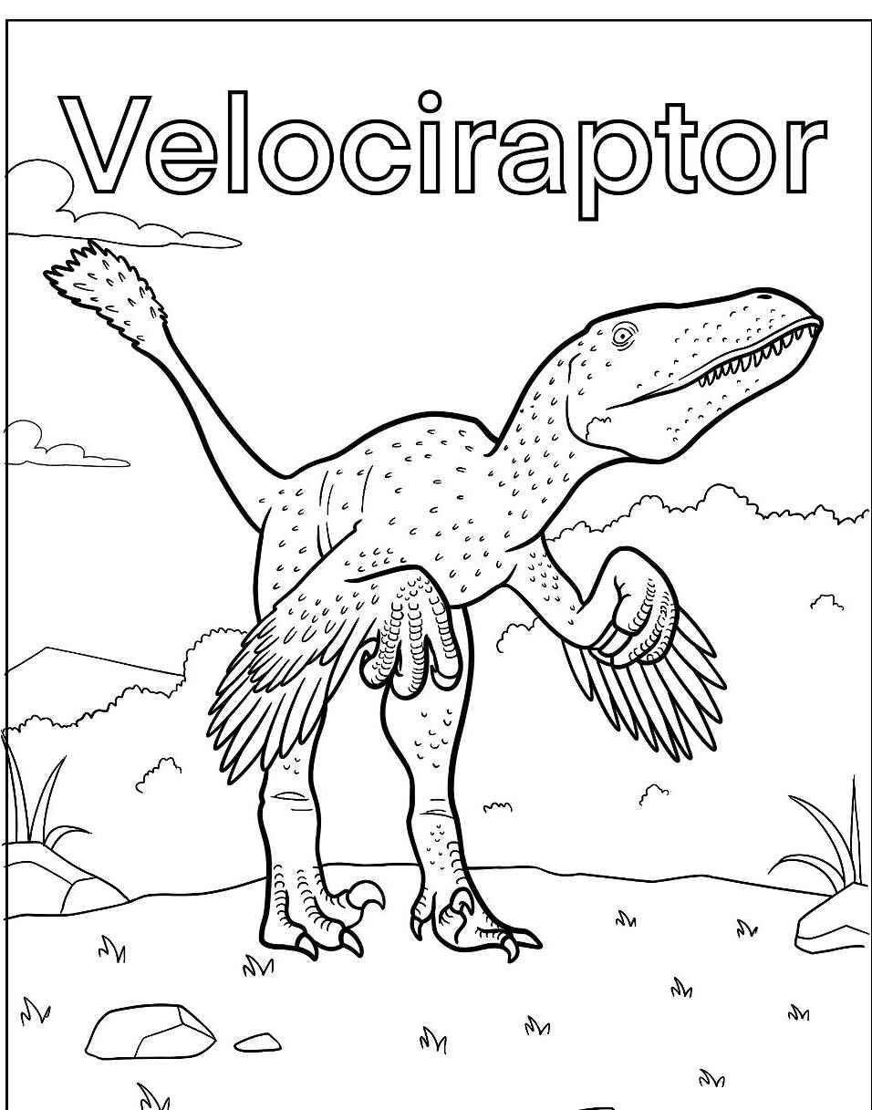Desenho do Dinossauro Velociraptor para imprimir e colorir