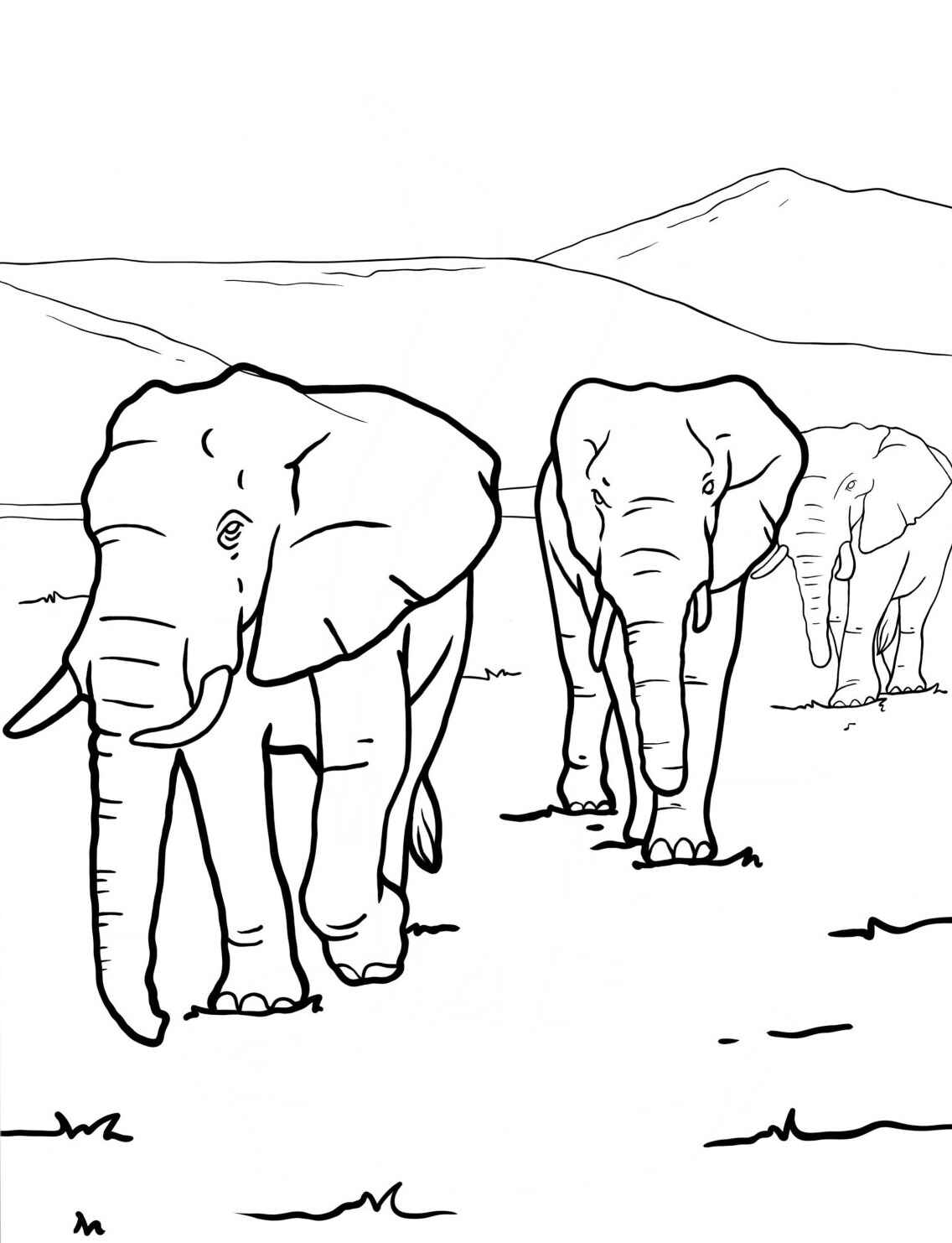 Desenho de Elefantes caminhando lado a lado para colorir