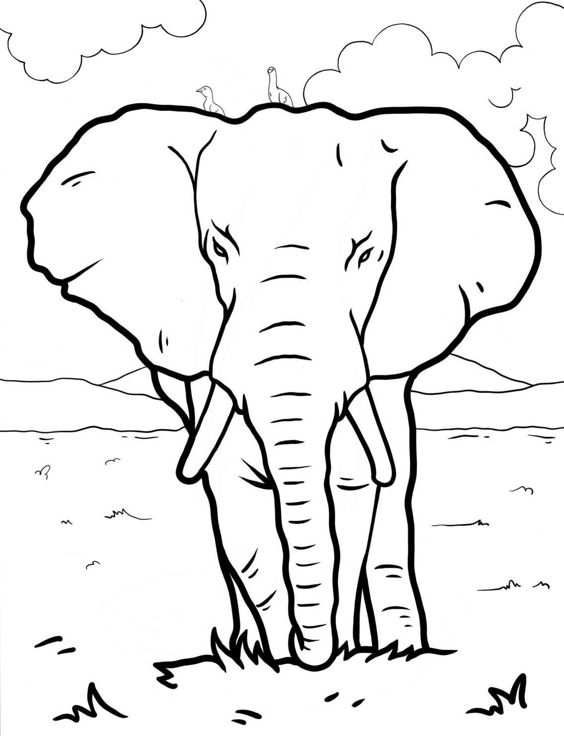 Desenho de Elefante de frente para colorir