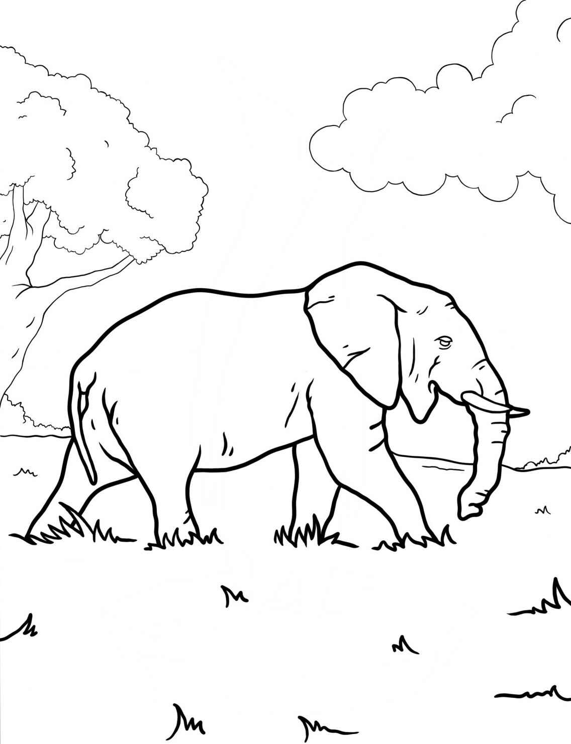 Desenho de Elefante caminhando na savana para colorir