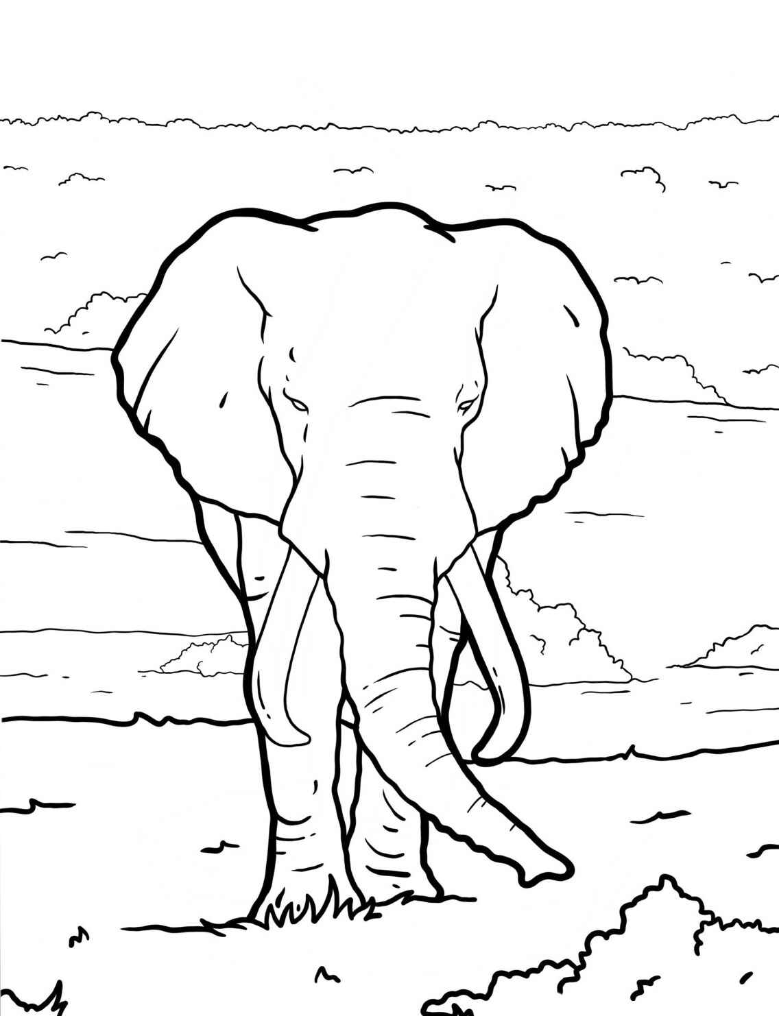 Desenho de Elefante em pé na savana para colorir