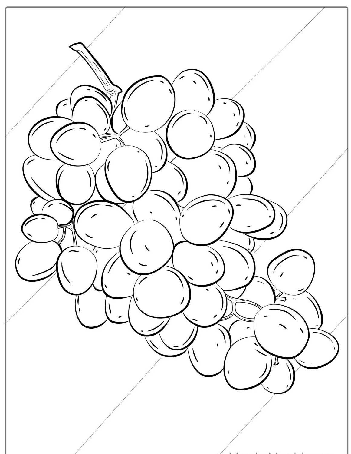 Desenho da Fruta Uva para colorir