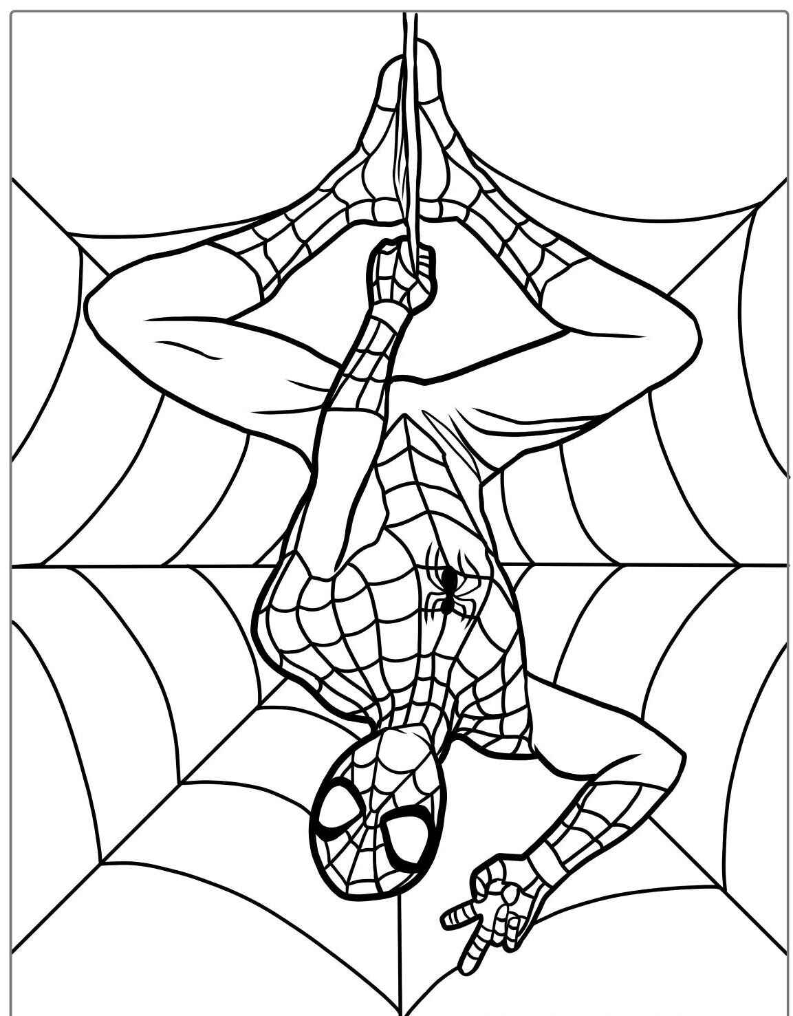 Desenho do Homem Aranha pendurado na teia para imprimir