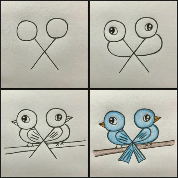 Desenho Fácil para Desenhar de dois passarinhos adoráveis