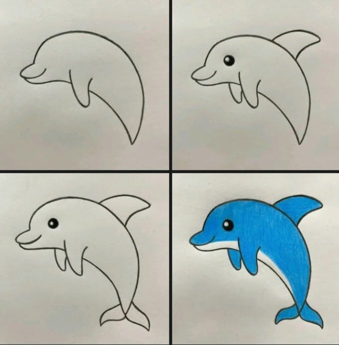 Desenho Fácil para Desenhar: Delfim em quatro etapas