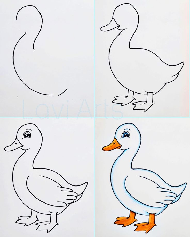 Desenho Fácil para Desenhar: Pato fofo em etapa de desenho