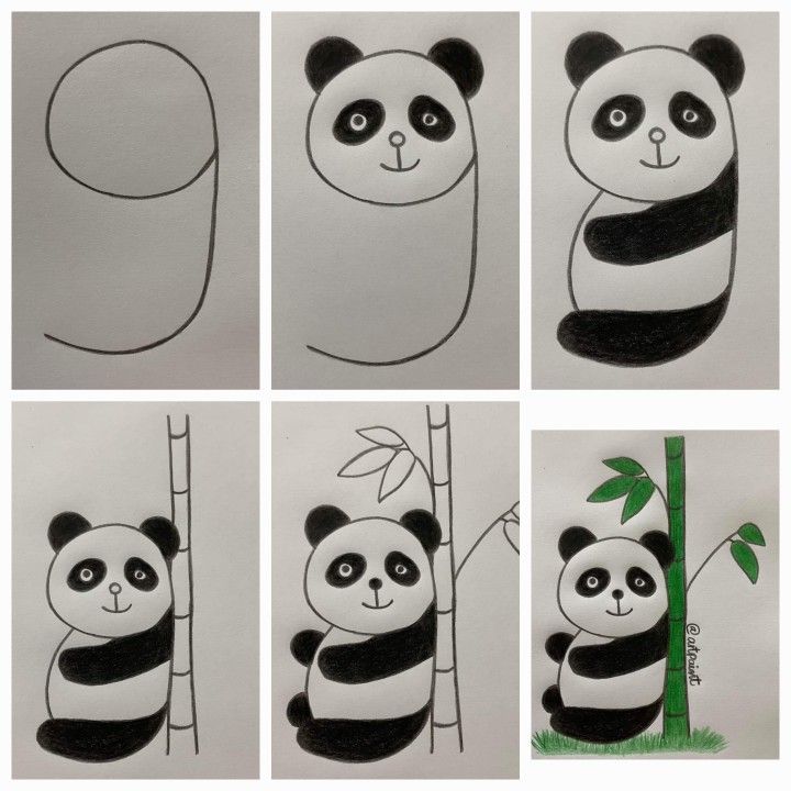 Desenho Fácil para Desenhar: Passo a passo de panda