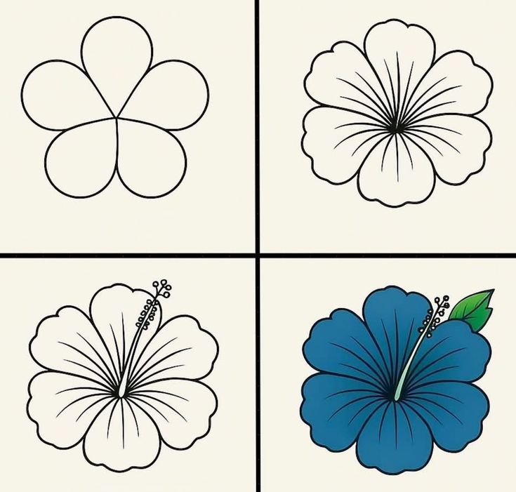 Desenho Fácil para Desenhar: passo a passo de flor hibisco