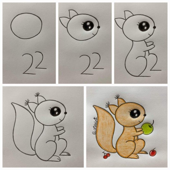 Desenho Fácil para Desenhar de Esquilo Fofo Colorido