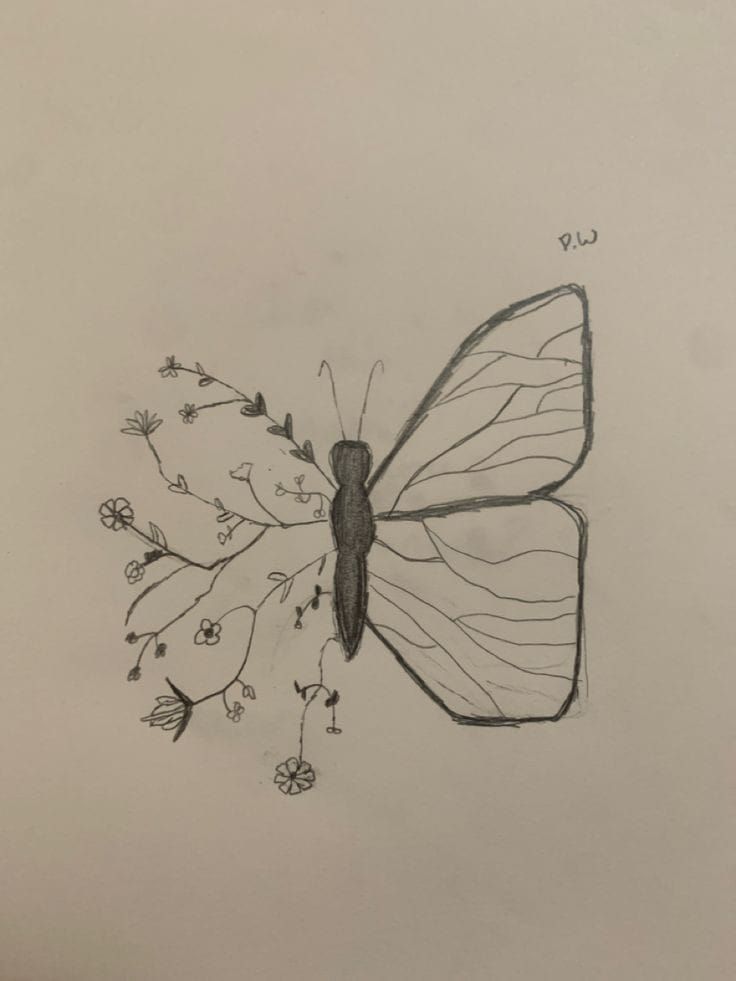 Desenho Fácil para Desenhar: Borboleta com flores detalhadas