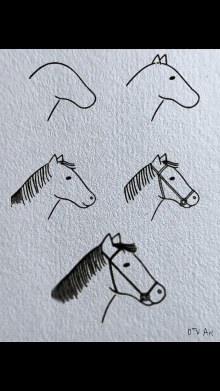 Desenho Fácil para Desenhar: Passo a passo de um cavalo
