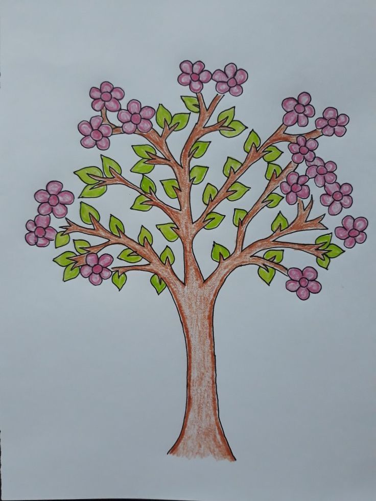 Desenho Fácil para Desenhar: Árvore com flores rosas
