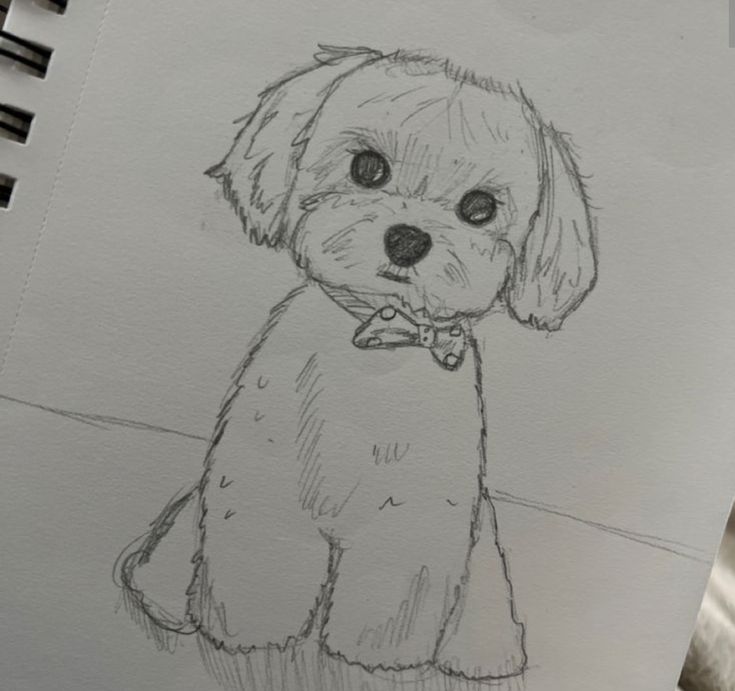 Desenho Fácil para Desenhar: Cachorro fofo com gravata borboleta