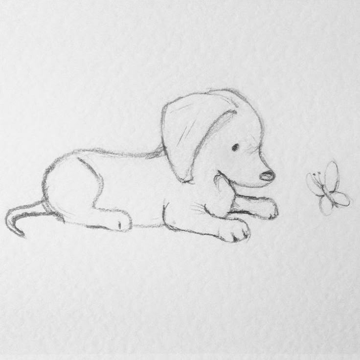 Desenho Fácil para Desenhar: Cachorrinho divertido com borboleta