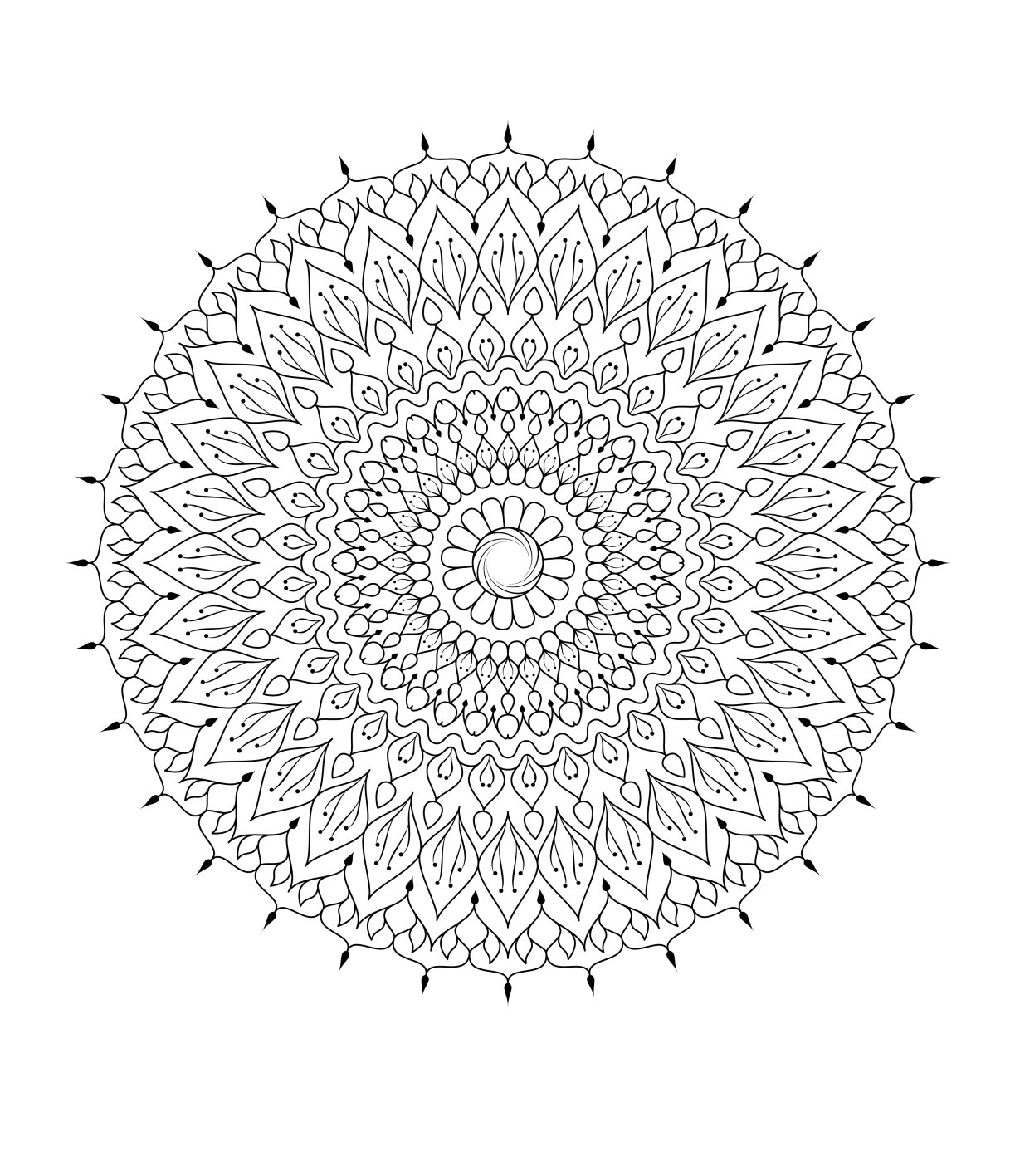 Desenho de Mandala circular com padrões florais para colorir
