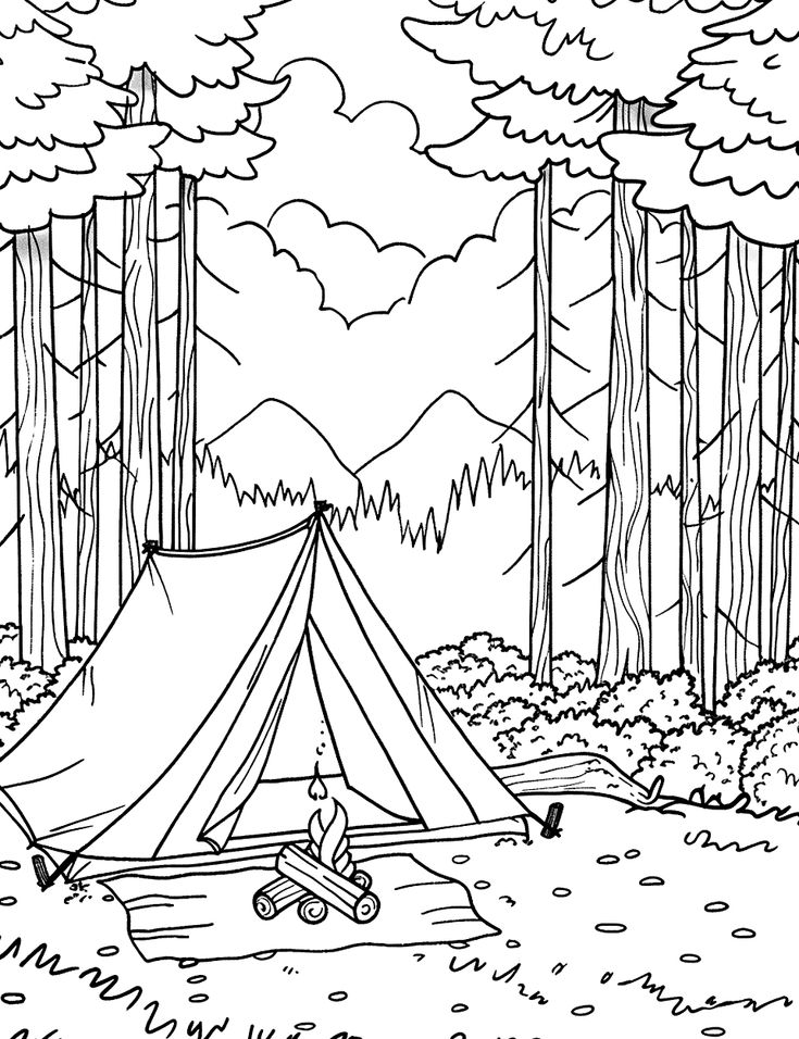 Desenho de Paisagem com floresta e acampamento para colorir