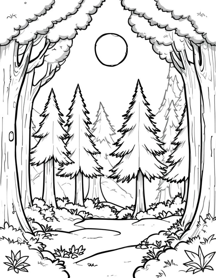 Desenho de Paisagem com floresta e árvores para colorir