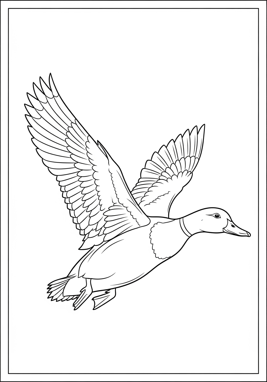 Desenho de Pato voando com asas abertas para colorir