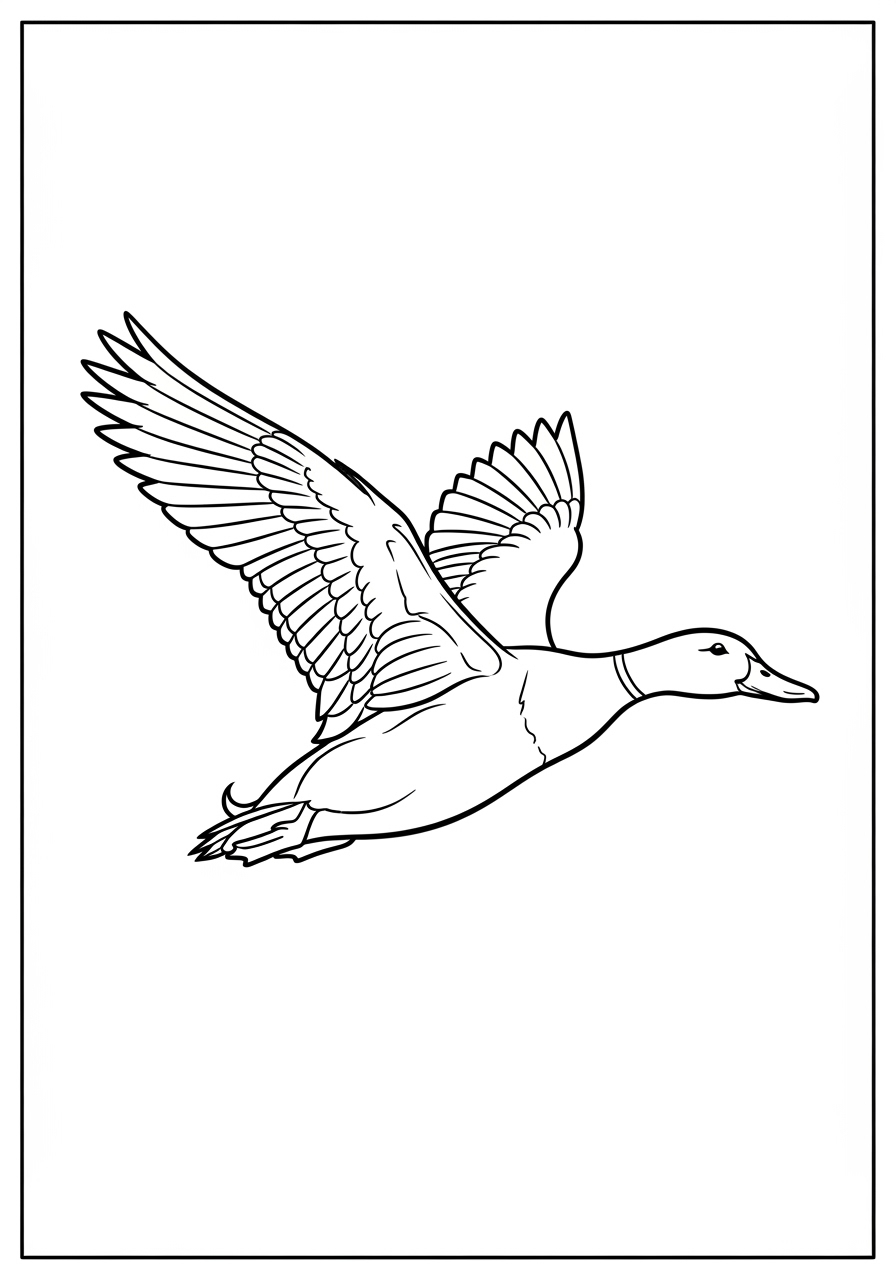 Desenho de Pato voando com asas abertas para colorir