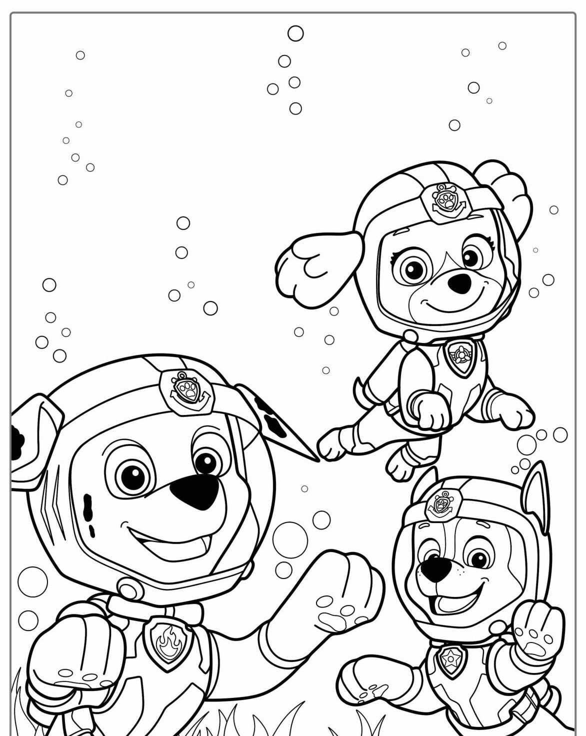 Desenho da Patrulha Canina Chase Skye e Rubble para colorir