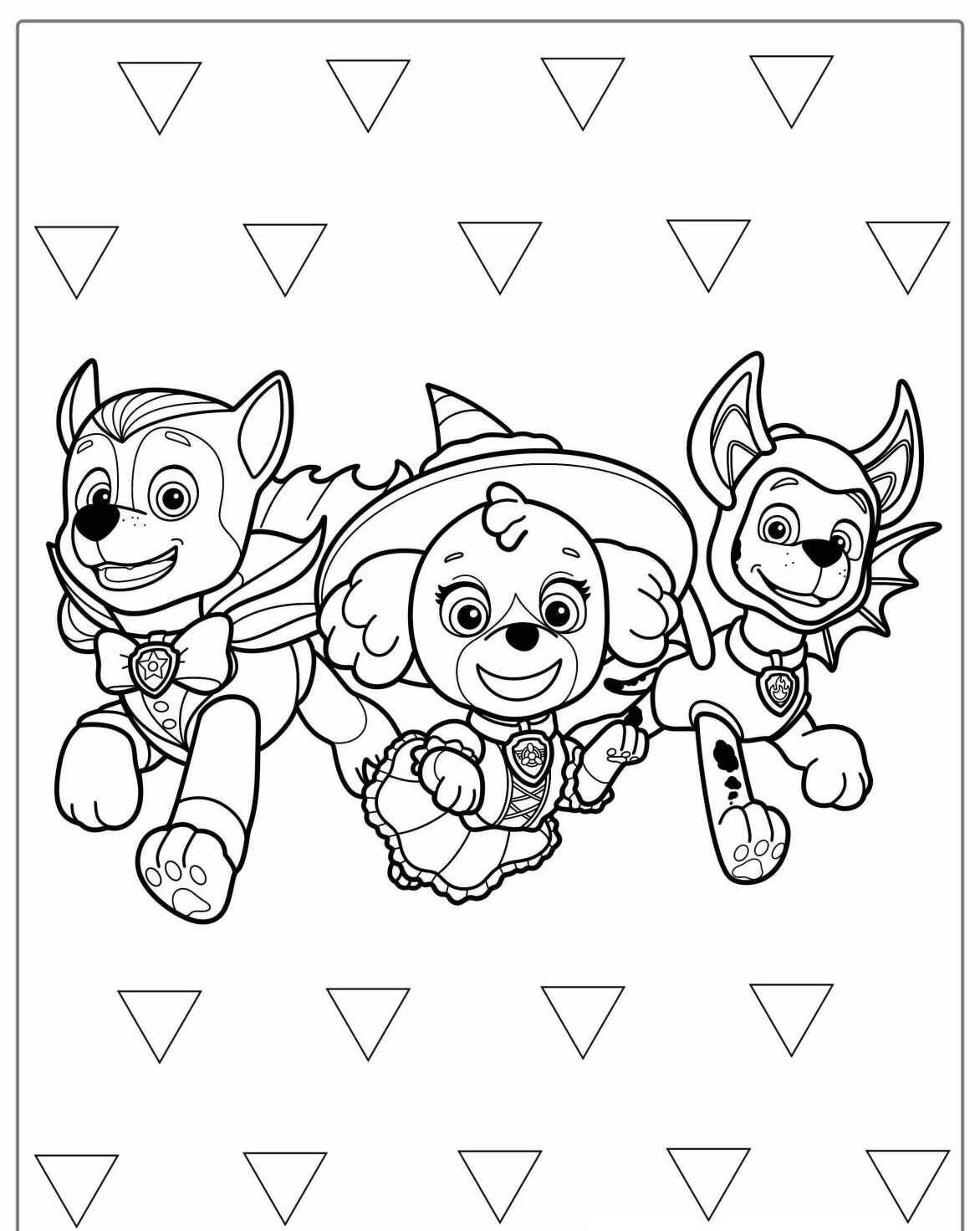 Desenho da Patrulha Canina Skye Chase e Rubble para colorir