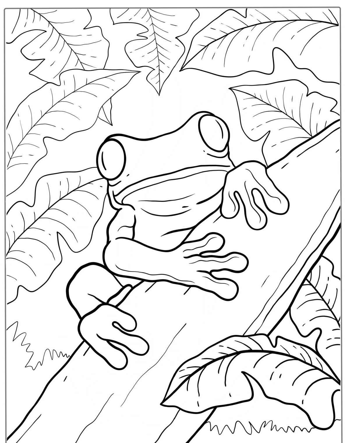 Desenho de Sapo em galho olhando curioso fácil colorir