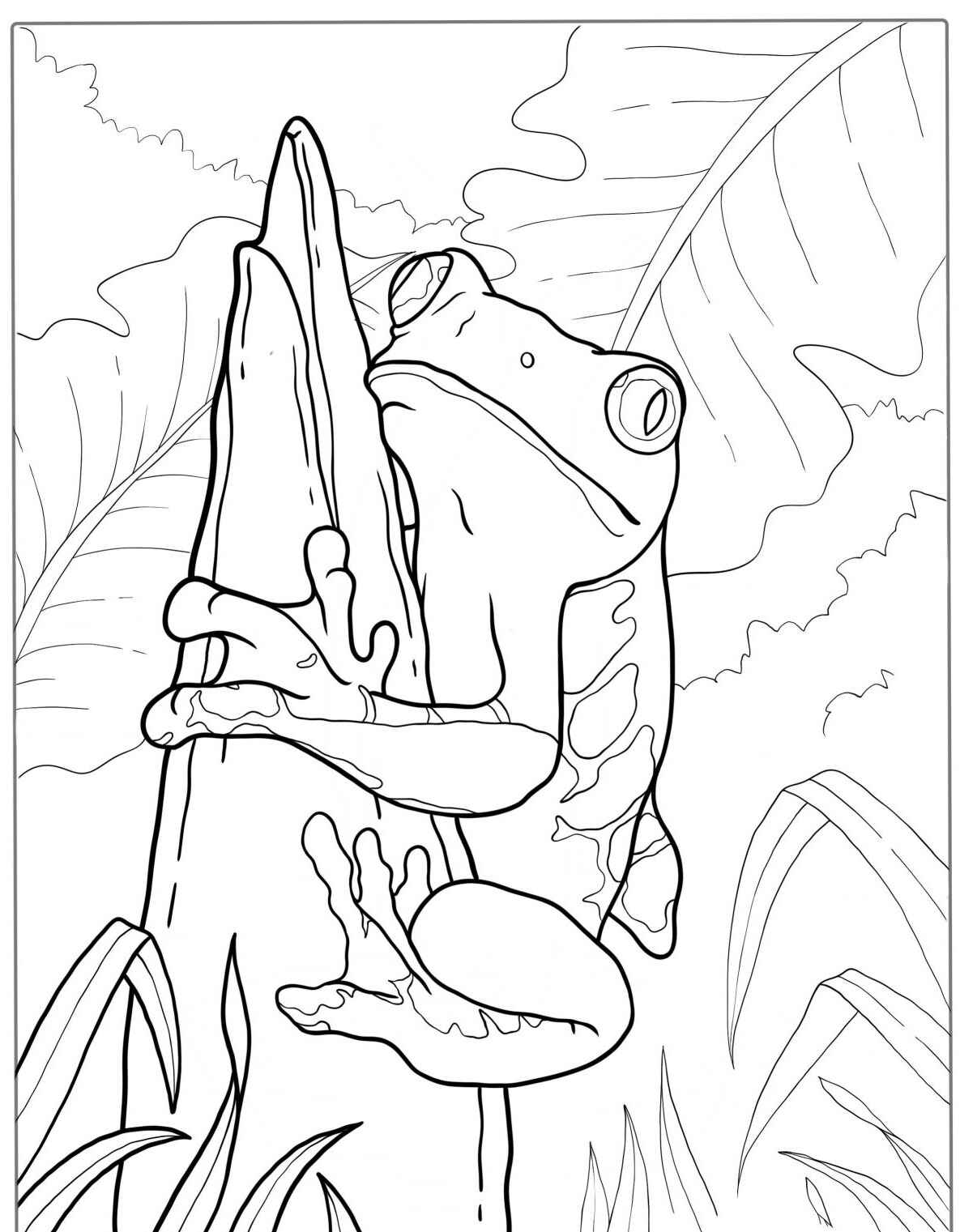 Desenho de Sapo em folha de bananeira para colorir