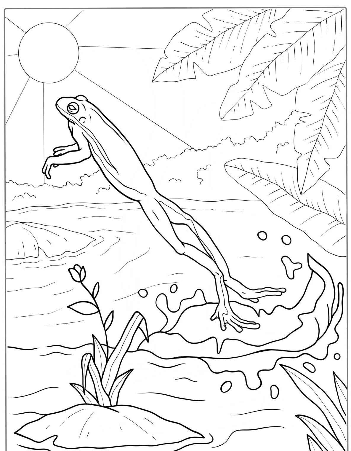 Desenho de Sapo saltando no lago para colorir