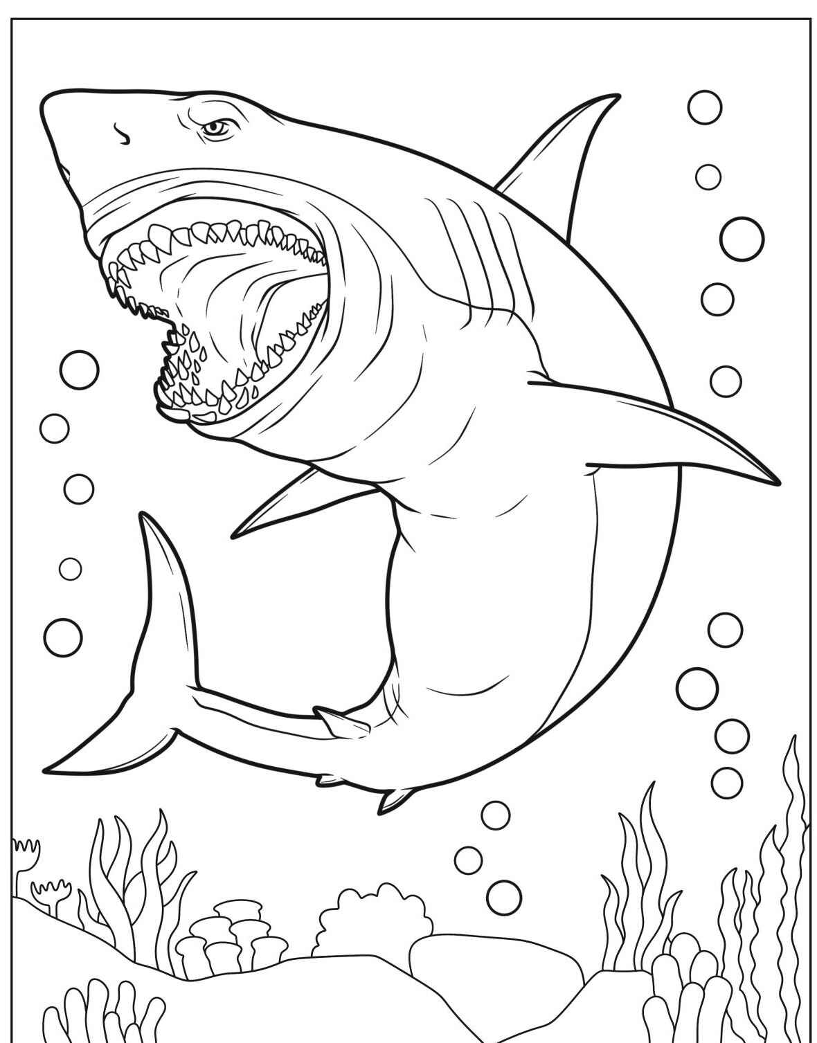 Desenho de Tubarão com boca aberta para colorir