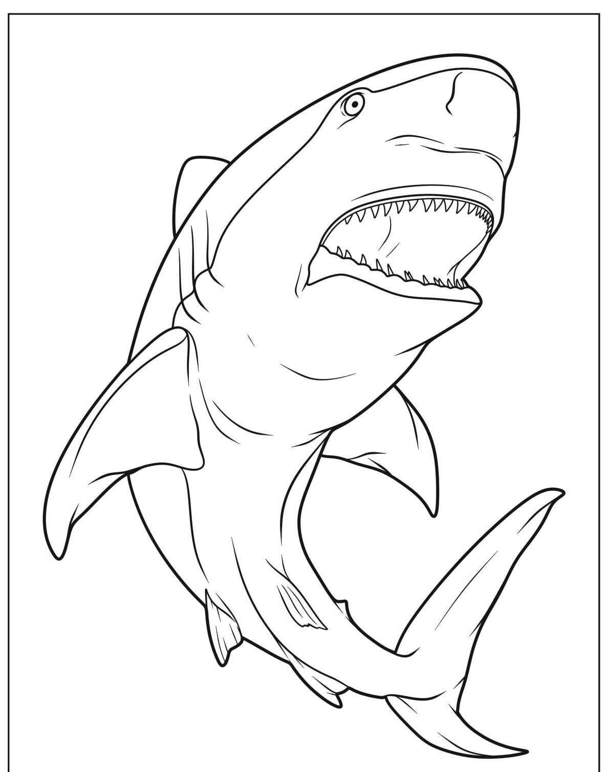 Desenho de Tubarão sorrindo com dentes à mostra para colorir