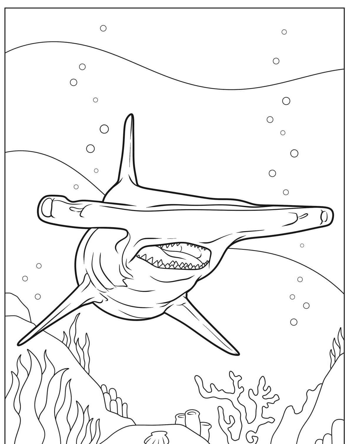 Desenho de Tubarão Martelo simples para colorir